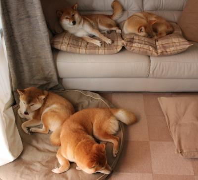 法国男足:场面好看,结果难堪,法国队男足