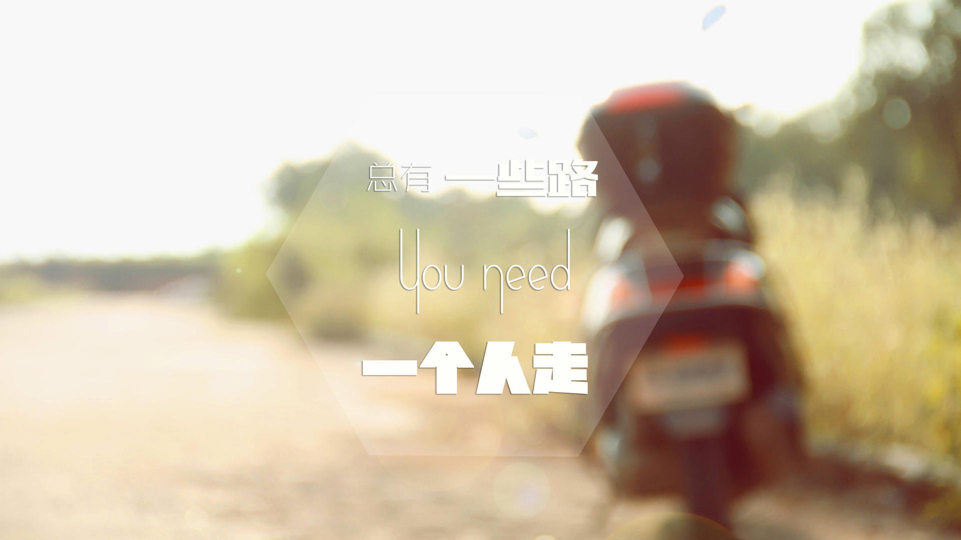 BSPORT APP-豪车之夜：顶级赛车在赛场的华丽变身，豪车全集