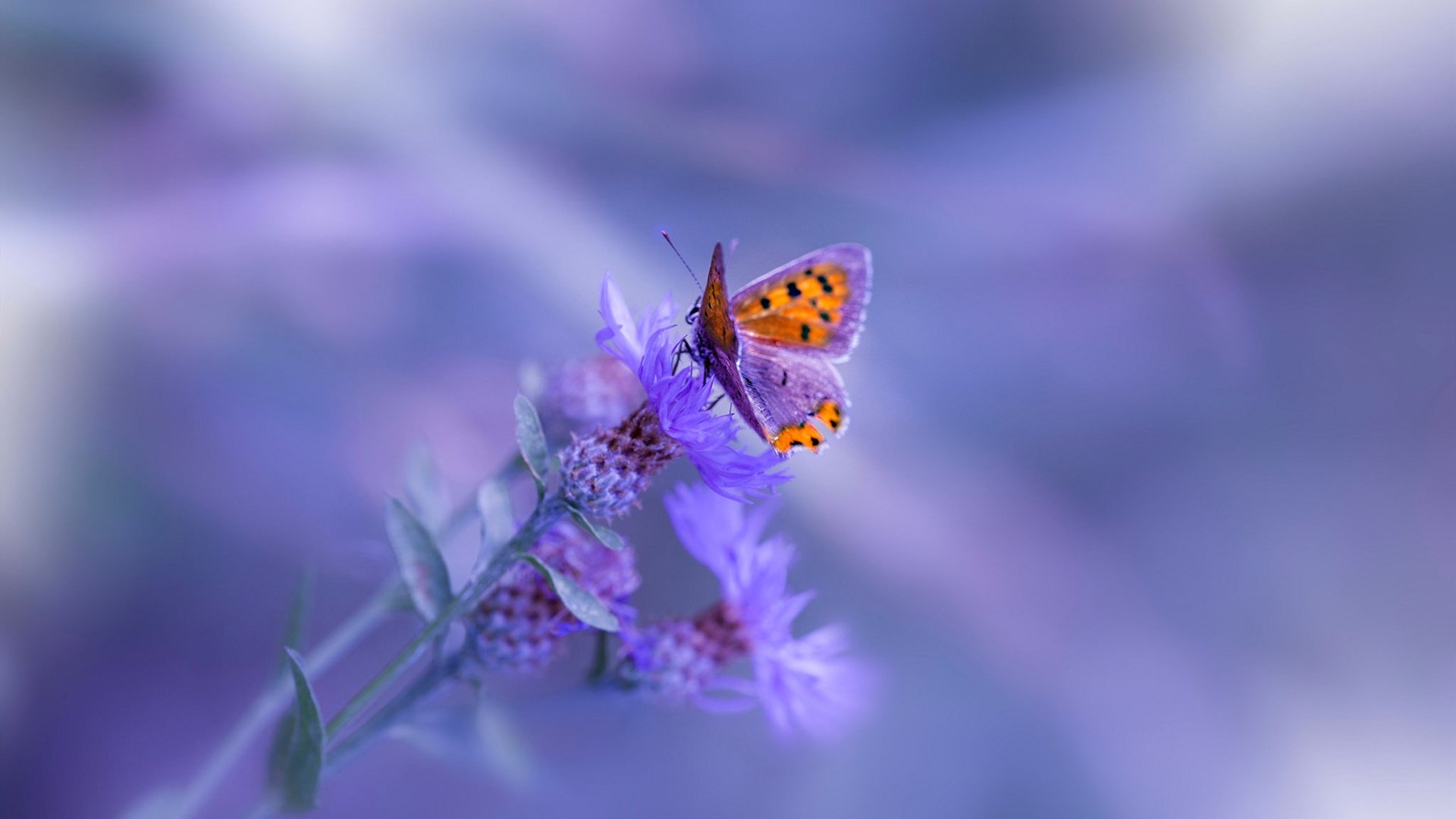 转会截止:五大联赛最震撼的10笔交易一览,五大联赛转会市场什么时候截止