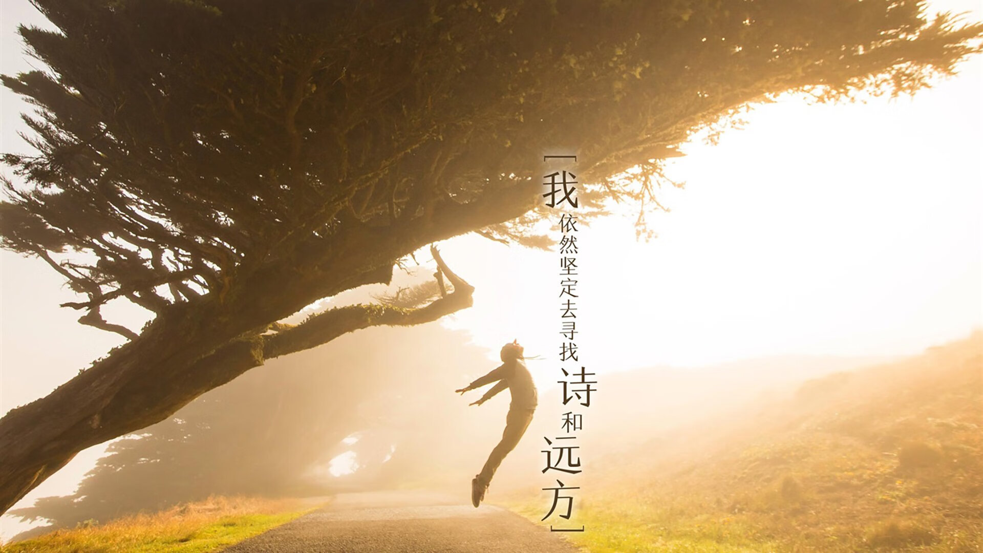 LCS季后赛对阵出炉,lcs赛区季后赛