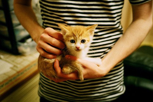 凯尔特人逆转湖人,抢七大战中塔图姆三分雨不断,凯尔特人和湖人抢七大战