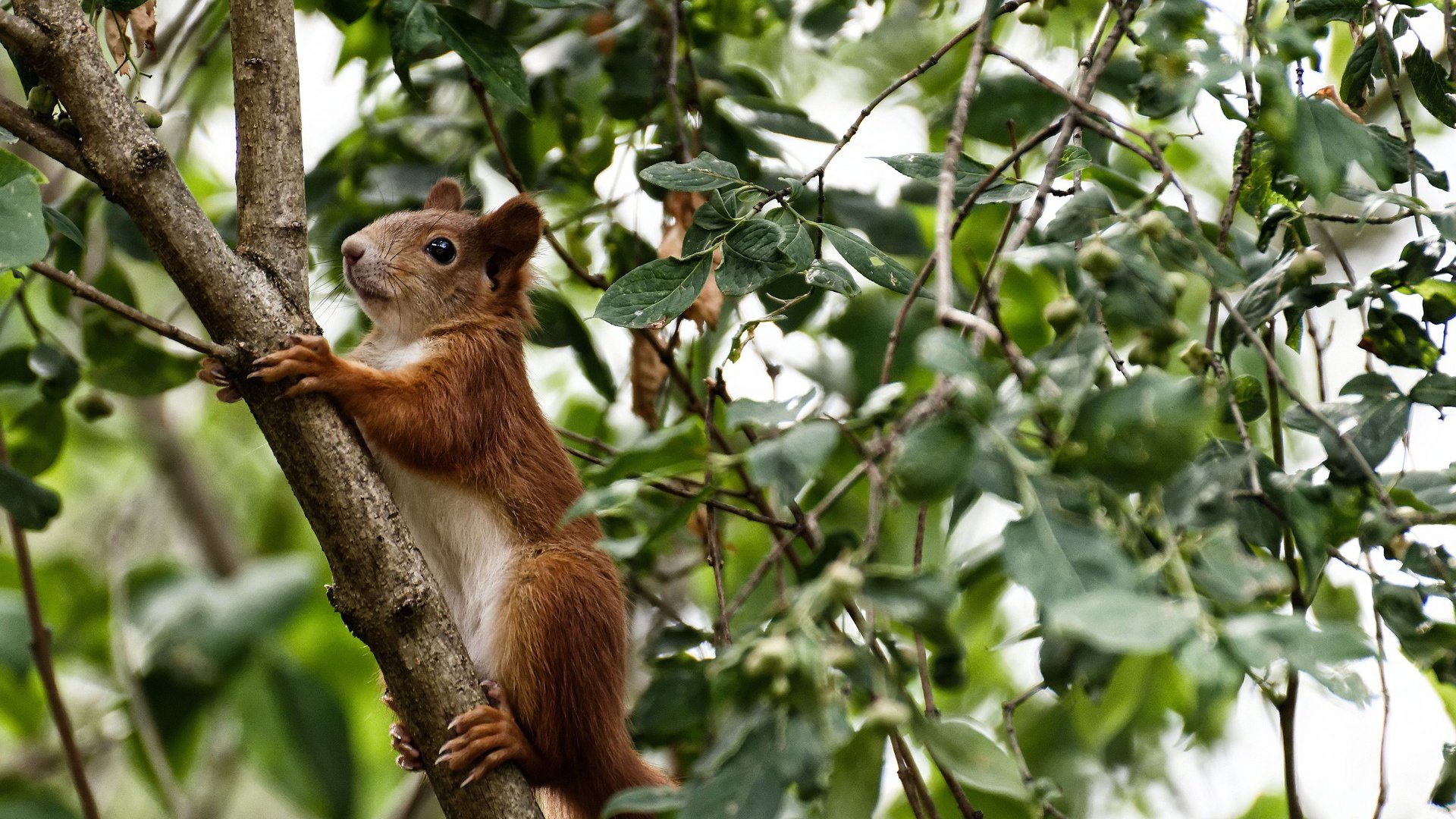 山西汾酒球队新秀表现突出,山西汾酒队现在名单