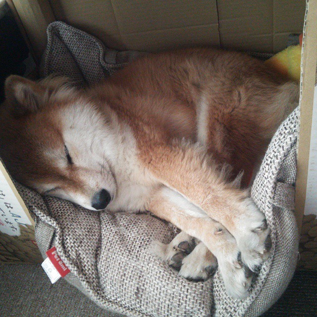 b体育娱乐-弗赖堡趁虚而入，淘汰了德国足协杯赛的对手，德甲弗赖堡的战术打法