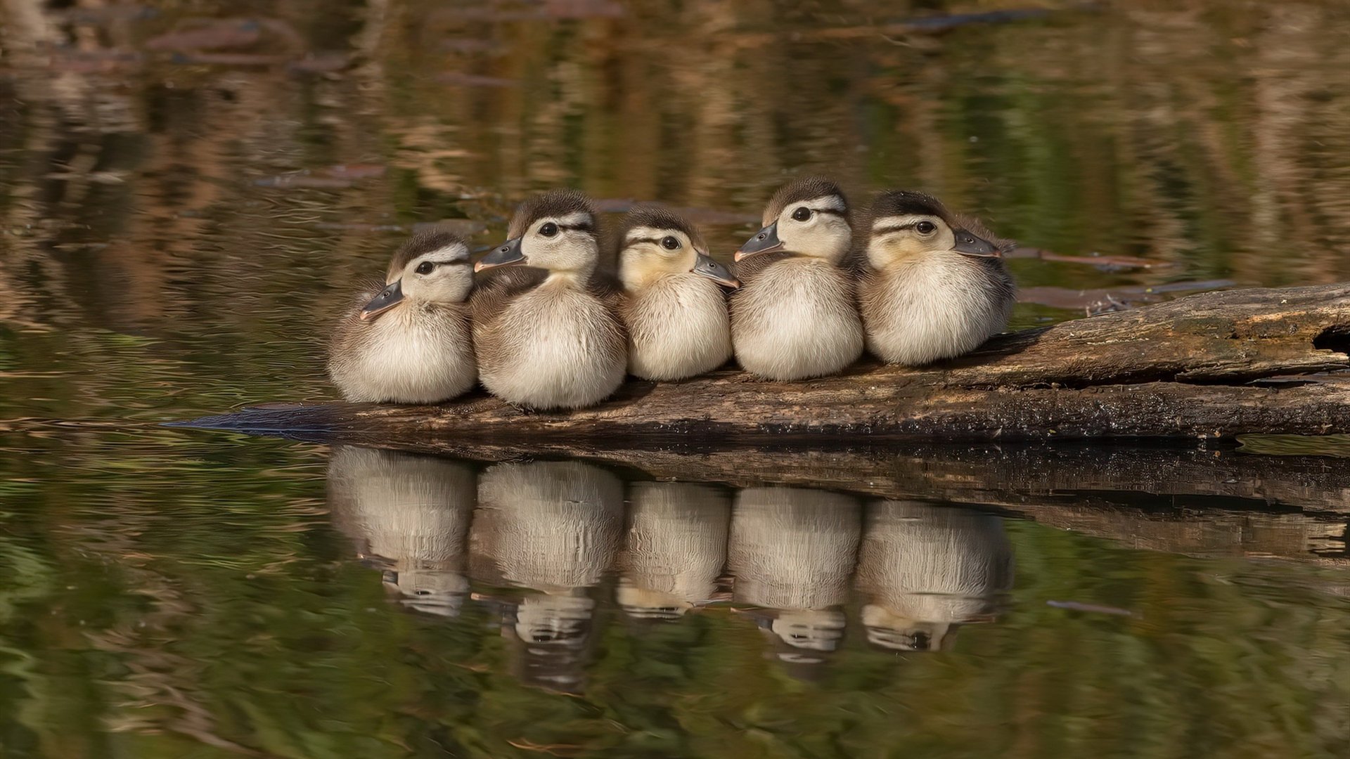 电竞职业选手的日常生活揭秘,电竞职业选手生活作息