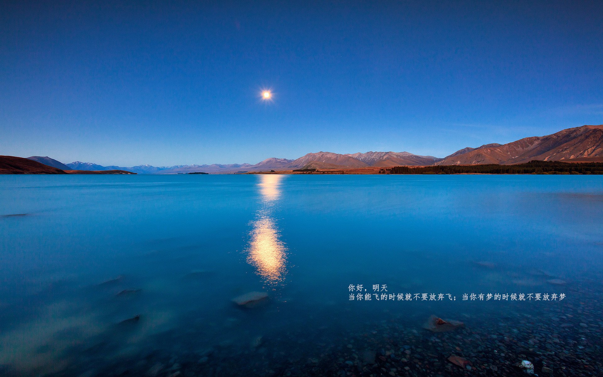 阿根廷奥运健儿凯旋回国受热烈欢迎,阿根廷青年奥运会