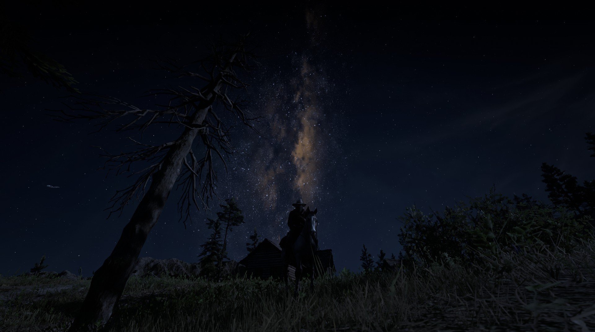 中国篮球青训体系人才培养模式多元化探索,青年篮球训练机构