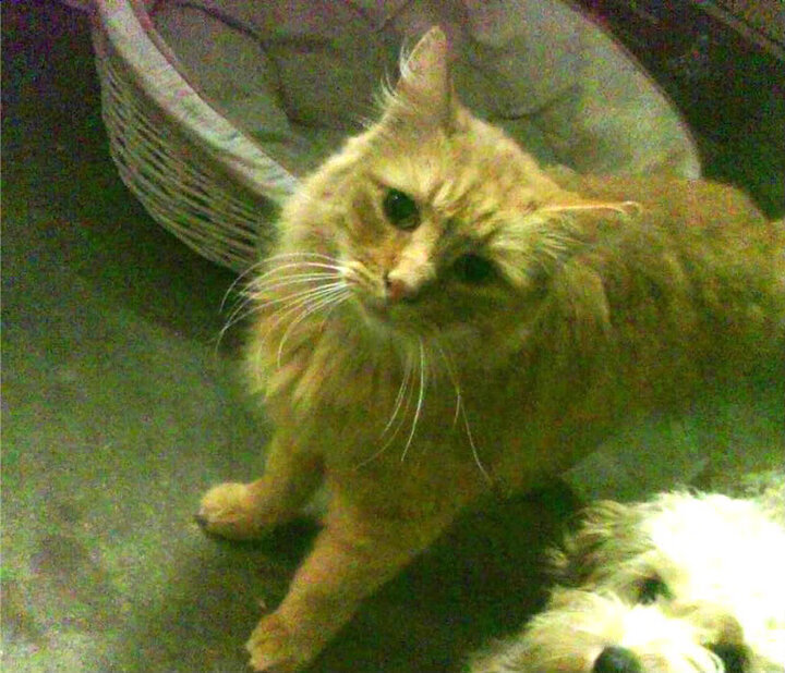 体育培训行业教师流动性现状与原因分析,体育培训市场现状