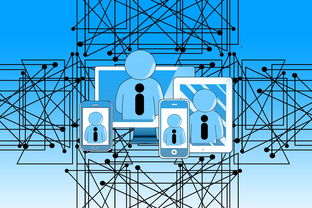 B体育下载-篮球专项技能课程创新与教学方法研究，篮球专项技术训练要点