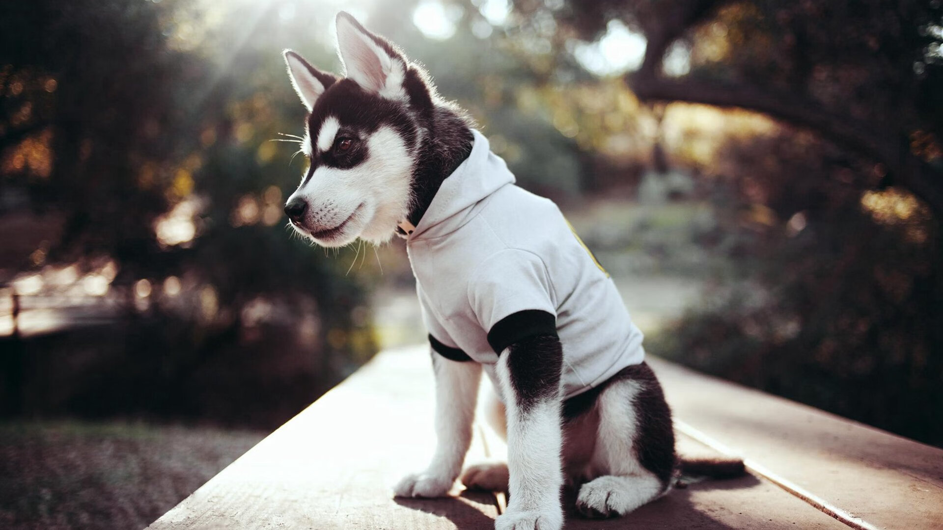 b体育官方网站-青少年体育竞赛规则完善，青少年体育赛事报名平台