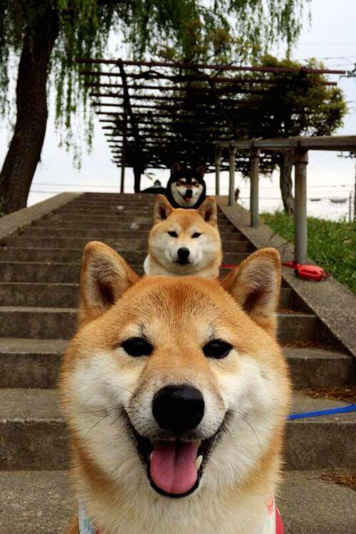 青少年锻炼动机实践,青少年身体锻炼的意义