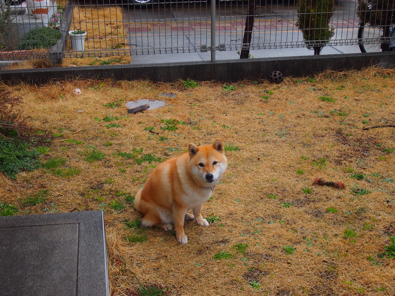 B体育在线登录入口-东亚杯U23国足战平 战术细节成关键因素，亚洲杯u23中国队