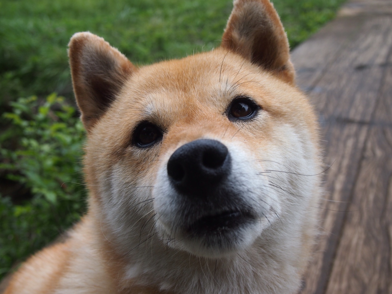 体育新闻中心上线体育赛事热点舆情实时监控系统,体育新闻资讯