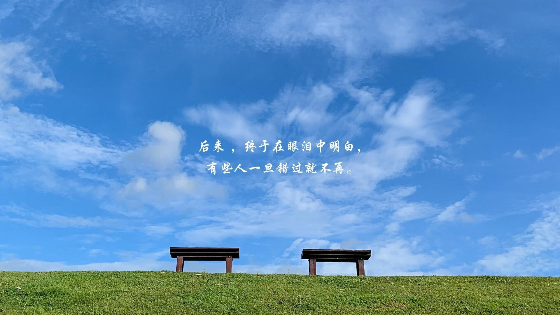 体育新闻中心开展体育传媒数字技能培训计划,体育培训数字化