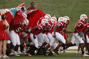 B体育网页版登录-青少年体育社团快速发展 激发校园活力，体育社团开展