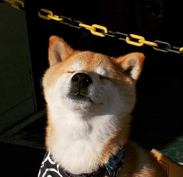 张伟丽训练中展现极高专注度,张伟丽最新训练