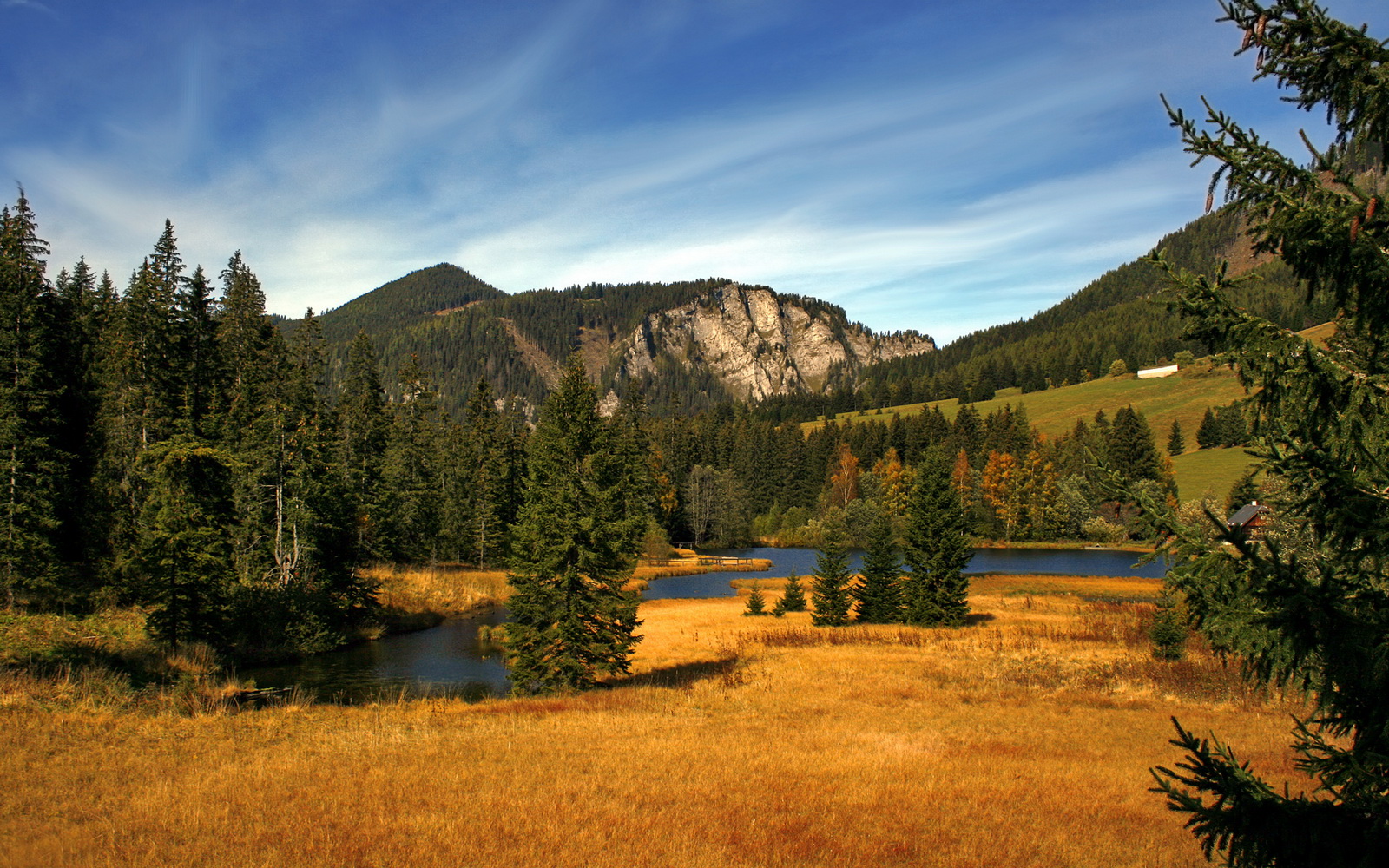 跳水配合默契希腊斩获佳绩,希腊跳水夺冠
