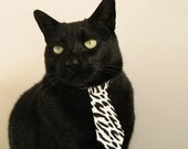 b体育APP-马刺助教讲解防守轮转细节获媒体认可，马刺队防守悍将