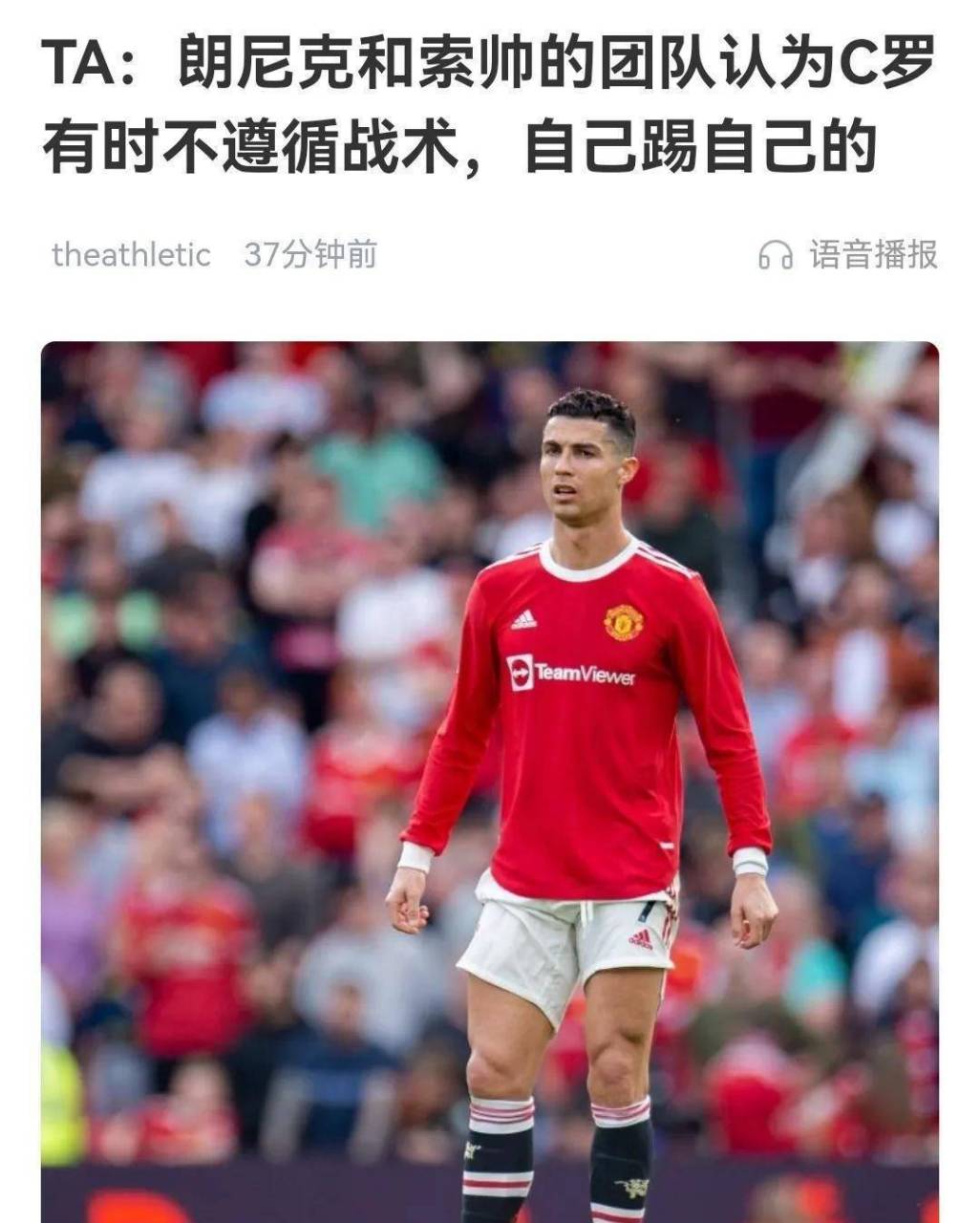 B体育官方网站:德甲的战术调整：教练如何应对对手变化的简单介绍